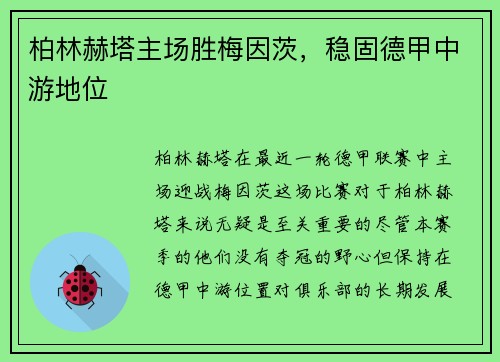 柏林赫塔主场胜梅因茨，稳固德甲中游地位