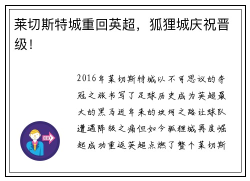 莱切斯特城重回英超，狐狸城庆祝晋级！