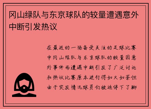 冈山绿队与东京球队的较量遭遇意外中断引发热议