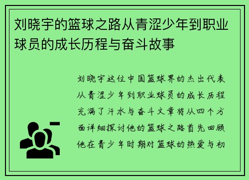 刘晓宇的篮球之路从青涩少年到职业球员的成长历程与奋斗故事