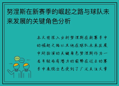 努涅斯在新赛季的崛起之路与球队未来发展的关键角色分析