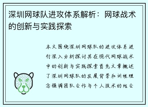 深圳网球队进攻体系解析：网球战术的创新与实践探索