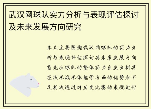 武汉网球队实力分析与表现评估探讨及未来发展方向研究
