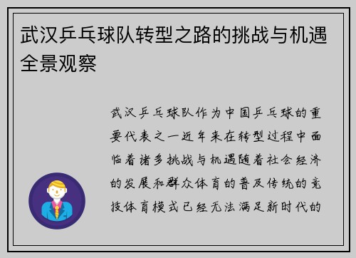 武汉乒乓球队转型之路的挑战与机遇全景观察
